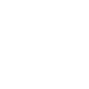 Steil Kranarbeiten Logo